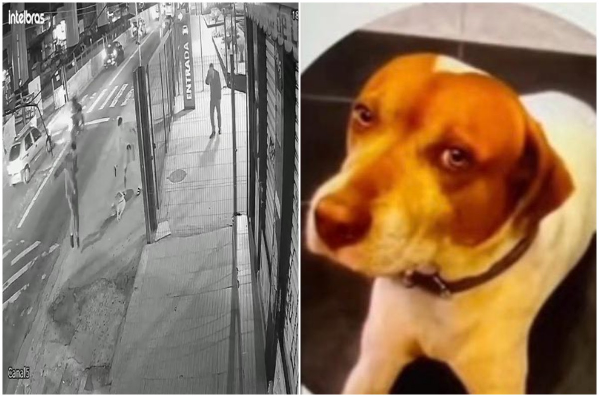 foto Not&iacute;cia Salto