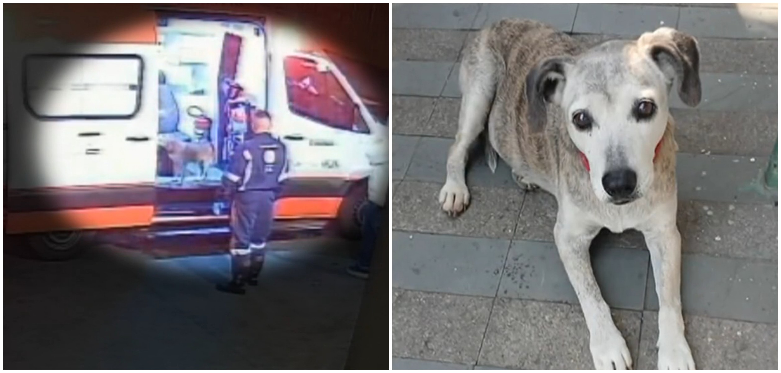 foto Not&iacute;cia Salto